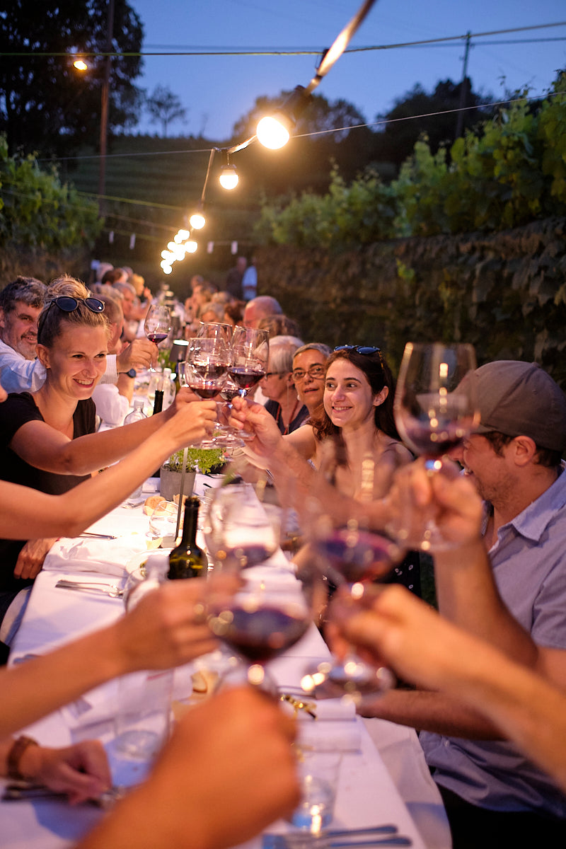 Azienda Agricola e Vitivinicola Cadenazzi
