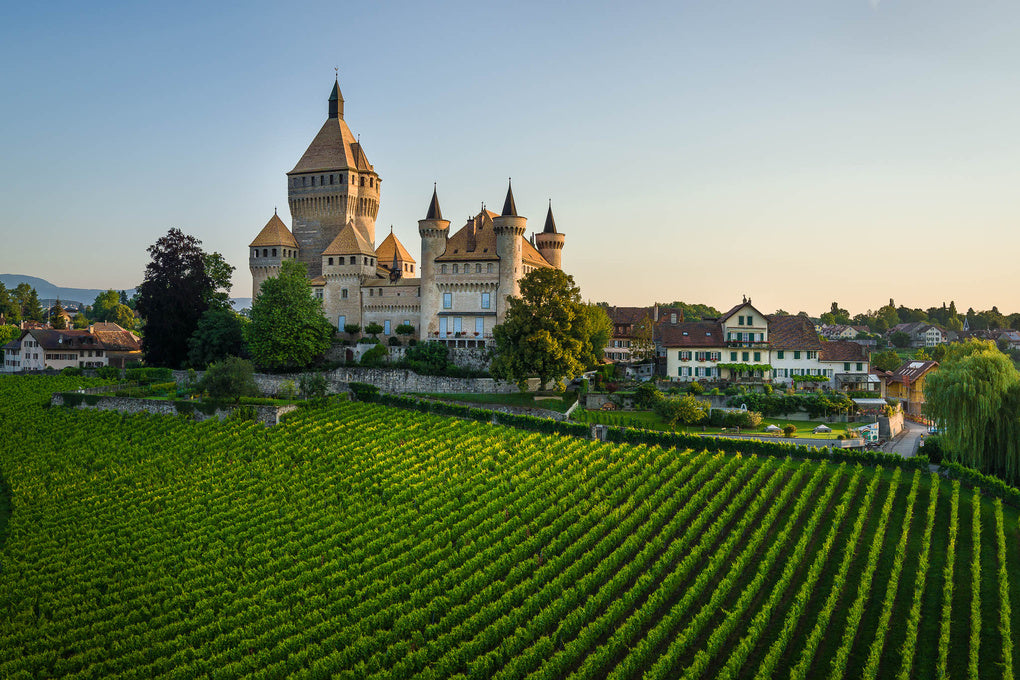 PEREY Vignerons-Encaveurs, Vufflens-le-Château et Echandens