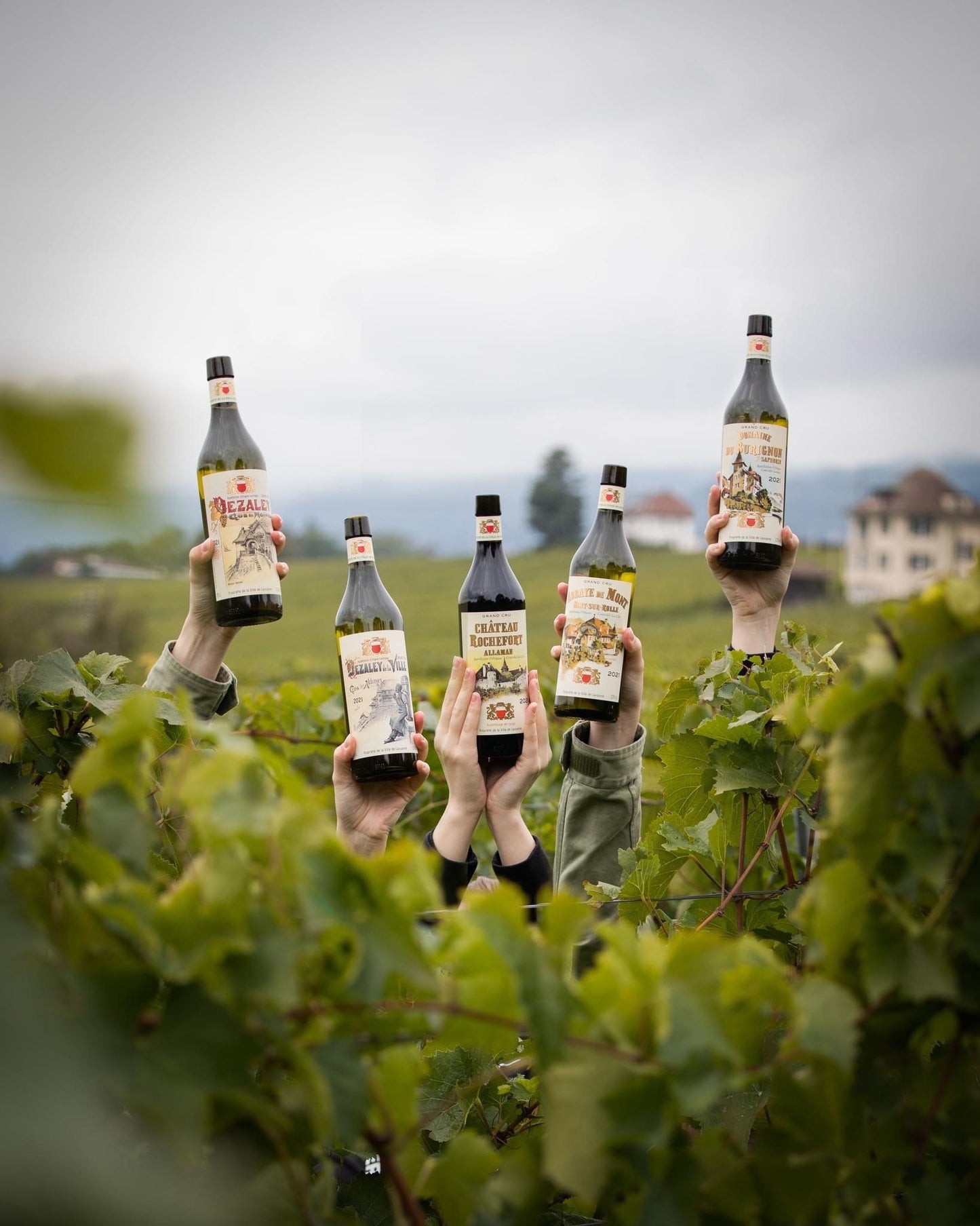 Clos des Abbayes - Ville de Lausanne