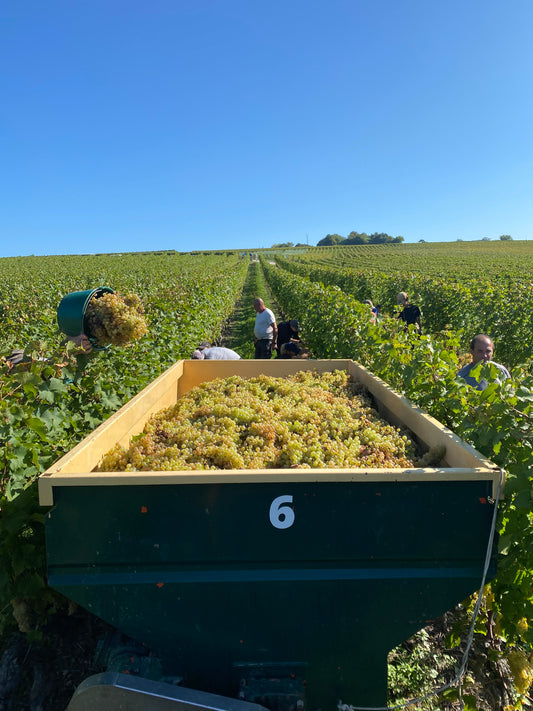 Domaine des Grands-Buissons
