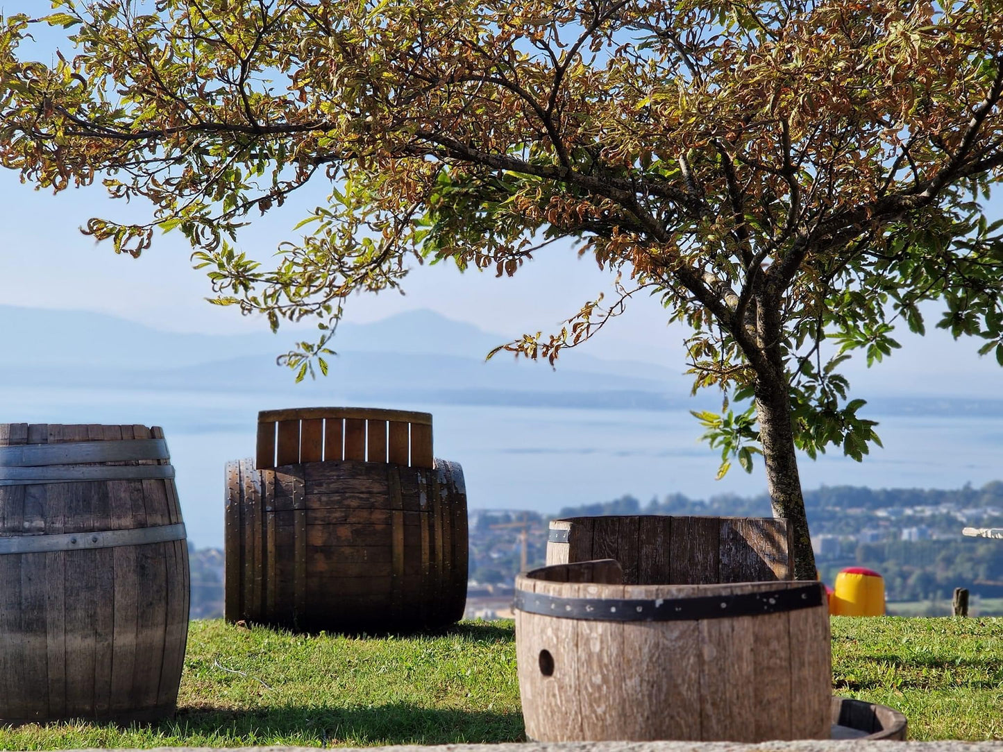 La Grande Vigne
