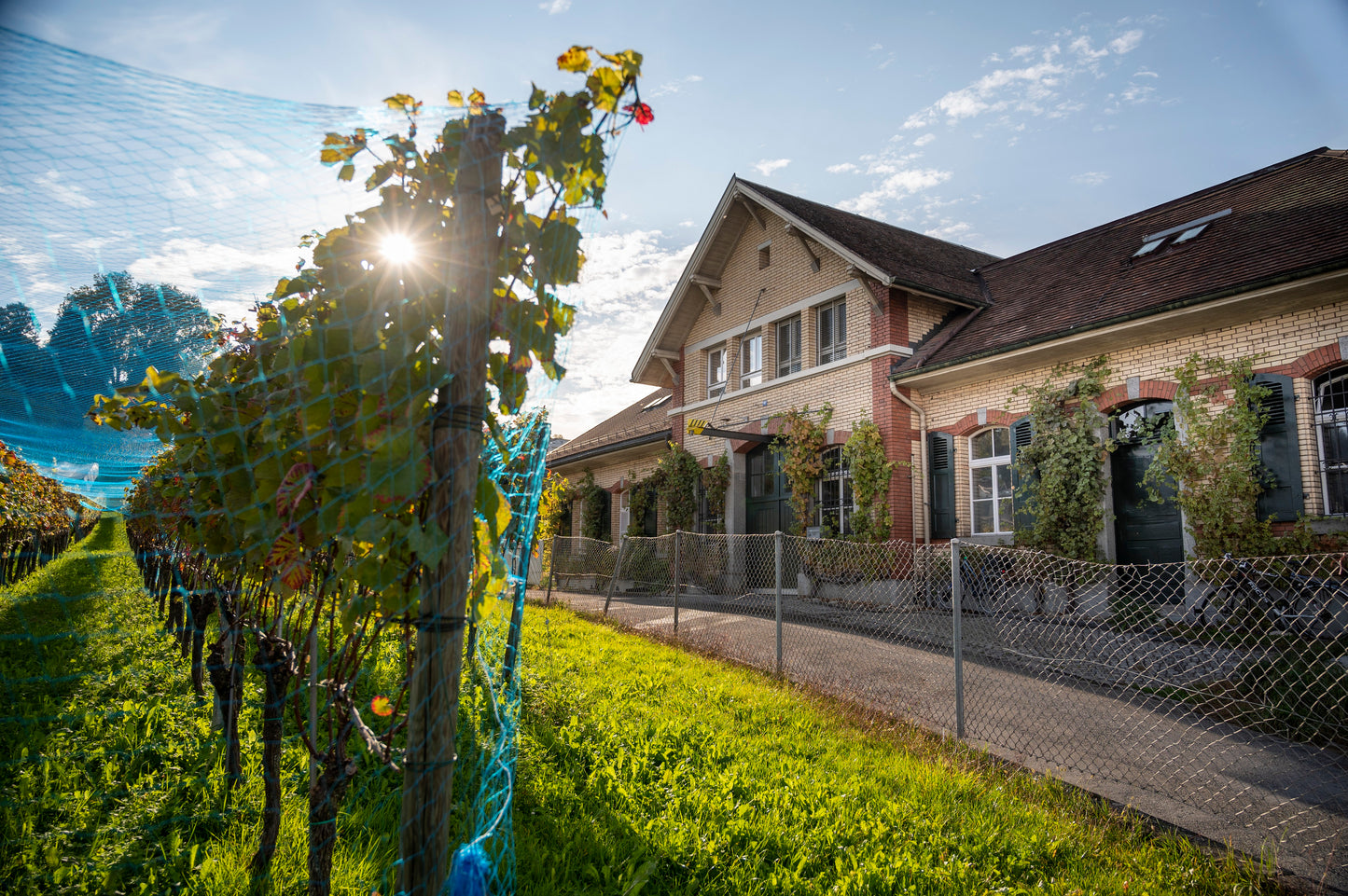 Dreistand - Weinbauzentrum Wädenswil